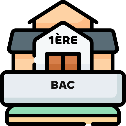 80747941bac