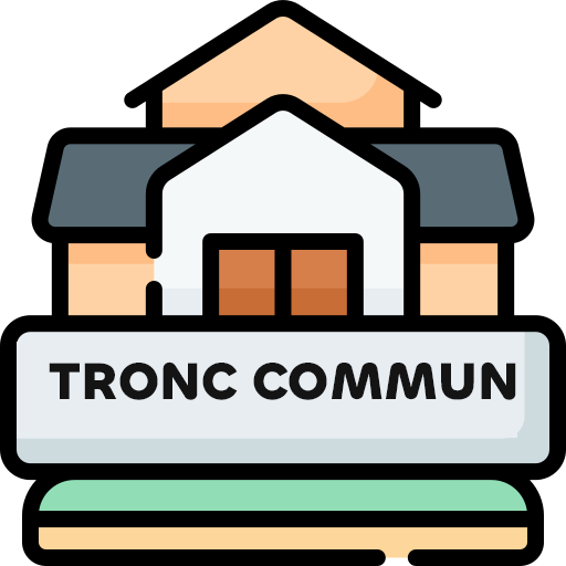 8074794Tron